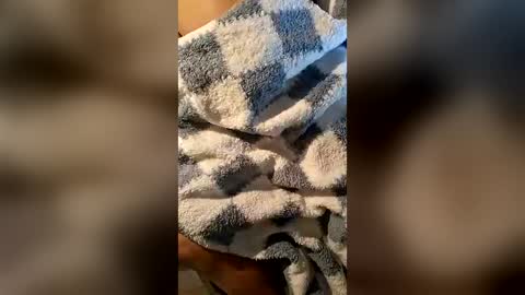 pussyeater420696953 online show from June 16, 2026, 6:38 am