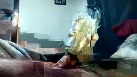 Pussyluver420 online show from October 1, 2025, 8:15 pm