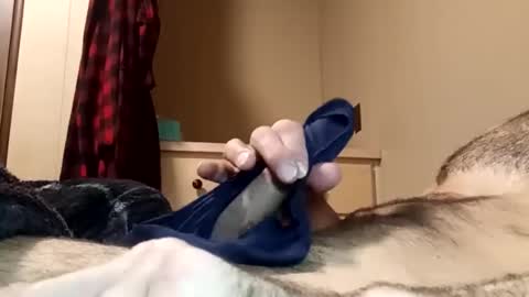 Pussyluver520 online show from July 28, 2026, 12:34 pm