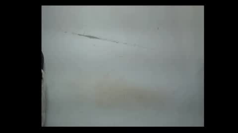 Snapshot of pussyxwetx chatting on February 4, 2026, 8:14 pm pussyxwetx online show from February 4, 2026, 8:14 pm