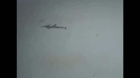 Snapshot of pussyxwetx chatting on February 27, 2026, 5:02 pm pussyxwetx online show from February 27, 2026, 5:02 pm