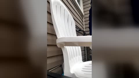 Snapshot of pyrex8 chatting on January 13, 2026, 3:17 pm pyrex8 online show from January 13, 2026, 3:17 pm