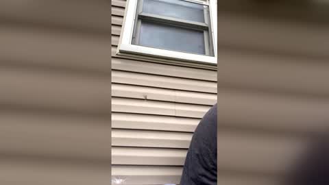 Snapshot of pyrex8 chatting on April 13, 2026, 8:58 pm pyrex8 online show from April 13, 2026, 8:58 pm