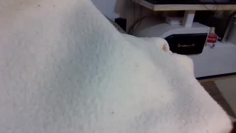 queen014 online show from December 2, 2025, 10:27 pm