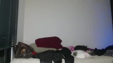 Nico online show from January 2, 2025, 3:15 am