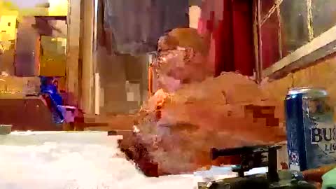 rabidsquirrell online show from February 5, 2025, 12:53 am