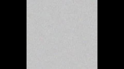 Rabbit Snake online show from November 19, 2025, 2:33 am