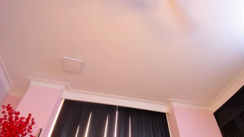 Rachel online show from December 23, 2024, 3:01 pm