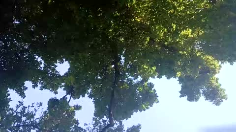 Snapshot of ragingzef69 chatting on February 2, 2025, 6:26 am Bigthickdickinvic online show from February 2, 2025, 6:26 am