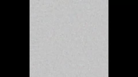 raybob252000 online show from October 22, 2025, 9:42 am