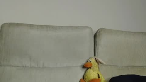 Ray  online show from April 5, 2026, 11:40 am