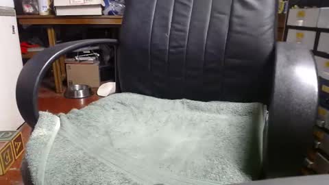 Ray online show from December 31, 2024, 12:11 am