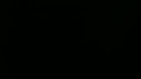 Ray online show from January 1, 2025, 9:20 pm