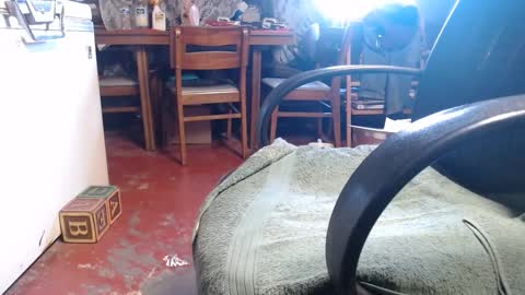 Ray online show from January 4, 2025, 2:04 pm