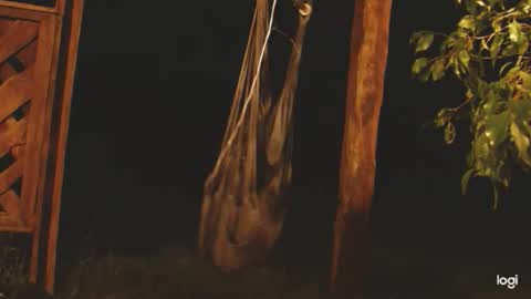 ready4aride2day online show from April 24, 2026, 2:14 am