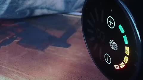 realrubpirate online show from April 12, 2026, 6:51 am