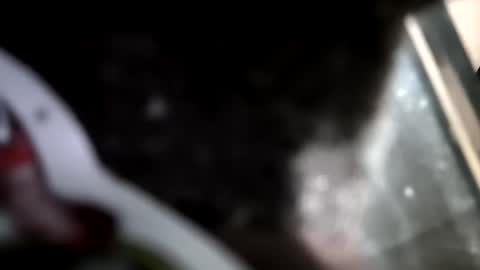 reba21 online show from February 1, 2026, 11:58 pm