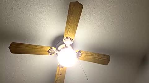 red24devils online show from September 12, 2025, 12:11 am