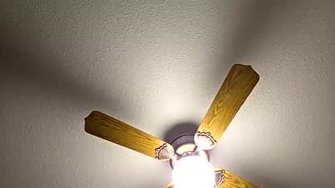 red24devils online show from February 18, 2026, 12:50 am