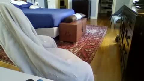 RegularGuyNOLA online show from January 24, 2025, 6:14 pm