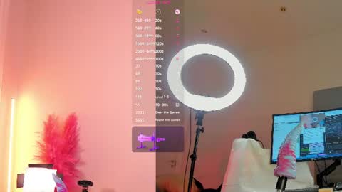 Snapshot of remyyfox chatting on July 7, 2026, 12:53 pm remyyfox online show from July 7, 2026, 12:53 pm