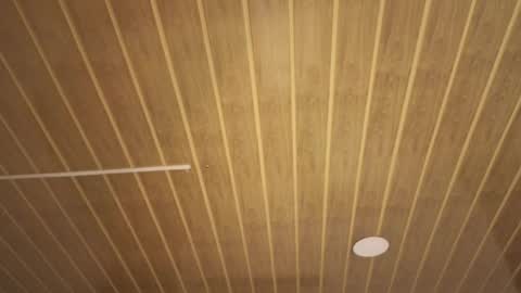 renaxi_smith online show from January 17, 2026, 7:50 pm