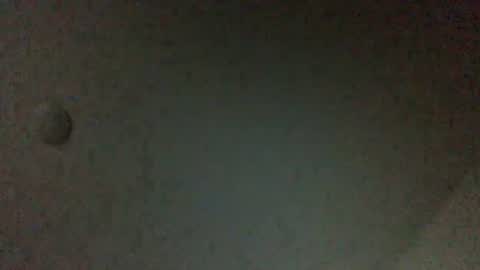 Snapshot of rickavelli chatting on August 1, 2026, 4:50 pm Rick online show from August 1, 2026, 4:50 pm