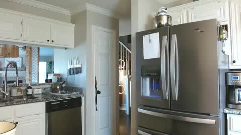 riley depp online show from February 17, 2025, 10:36 pm