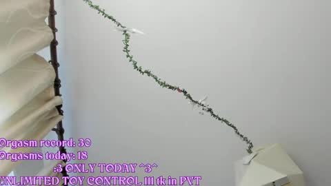 Snapshot of rileynymph chatting on May 21, 2026, 3:24 am My name is Riley Like my broadcast pls 3 online show from May 21, 2026, 3:24 am