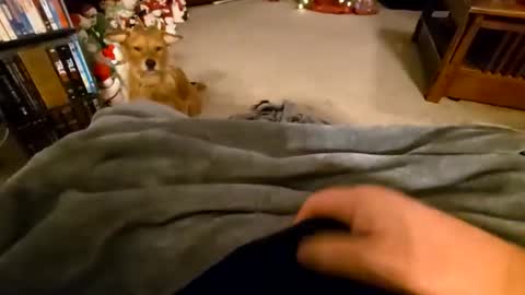 robbiebob6828 online show from January 9, 2026, 4:26 am