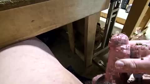 robbiebob6828 online show from January 14, 2026, 11:31 pm