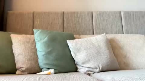 rockboy3000 online show from January 5, 2025, 11:55 pm