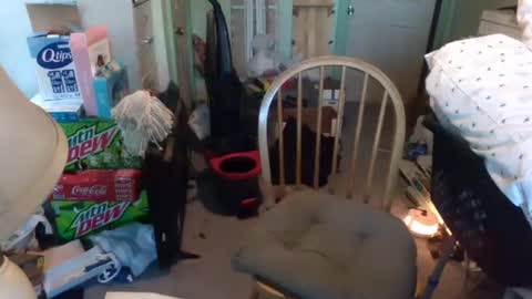 Snapshot of rocky082288 chatting on January 9, 2025, 1:24 pm rocky082288 online show from January 9, 2025, 1:24 pm