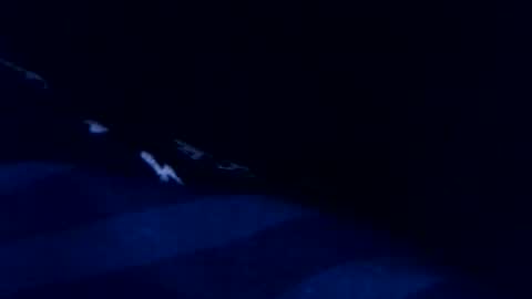 romain online show from March 3, 2026, 8:48 pm