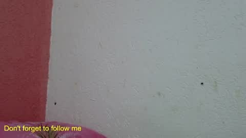 ronny online show from January 31, 2025, 10:10 pm