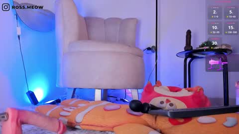 ross_meow online show from March 6, 2026, 11:23 pm