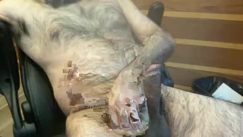 rotoball007 online show from January 30, 2025, 8:31 pm