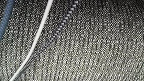 roxylove369 online show from April 3, 2026, 2:31 am