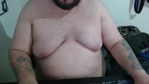 Bear online show from February 5, 2026, 3:33 am