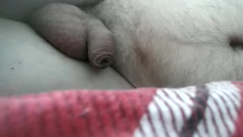 arte online show from February 24, 2026, 8:01 am