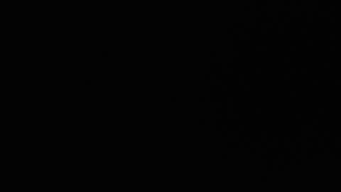 Snapshot of ryushi009 chatting on January 24, 2025, 3:32 am Ryushi009 online show from January 24, 2025, 3:32 am