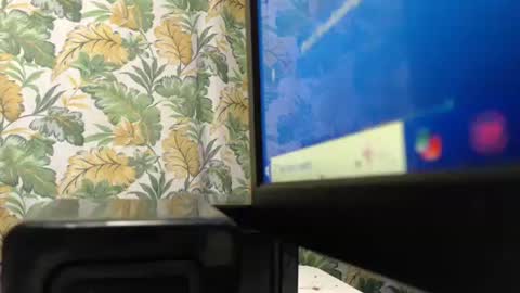 s_o_f_e_a online show from January 12, 2026, 1:38 pm