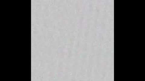 Leslie Beltrn online show from November 17, 2025, 2:50 am