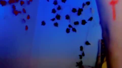 Snapshot of sabrinaexpositoxx chatting on March 11, 2025, 12:39 pm SABRI online show from March 11, 2025, 12:39 pm