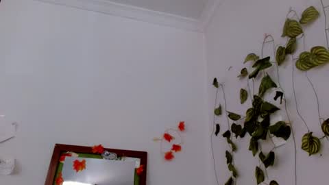 SABRI online show from June 17, 2026, 4:41 pm