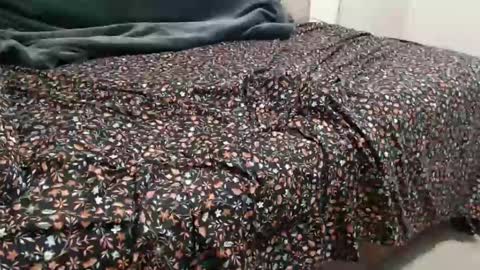 dadbod online show from December 15, 2024, 8:04 pm