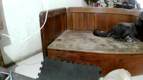 ruby  chocoholic cakeholic coffeeholic cookieholic online show from April 24, 2026, 12:24 am