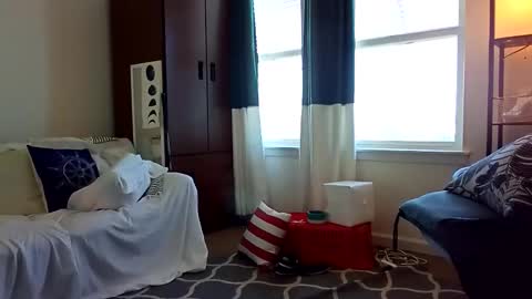 salis1981 online show from February 5, 2025, 8:35 pm