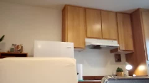 salis1981 online show from March 2, 2025, 5:36 pm