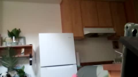 salis1981 online show from October 13, 2025, 9:15 pm